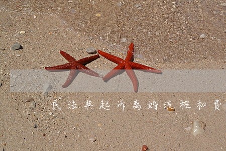 民法典起诉离婚流程和费用 民法典起诉离婚流程和费用