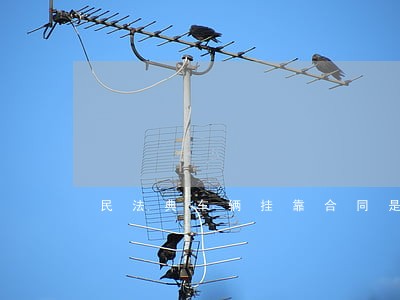 民法典车辆挂靠合同是否可以解除