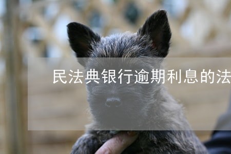 民法典银行逾期利息的法律规定 民法典银行逾期利息的法律规定