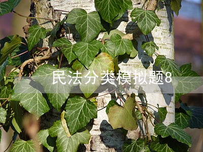 民法分类模拟题8 民法分类模拟题8