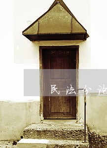 民法分论袁治杰 民法分论袁治杰