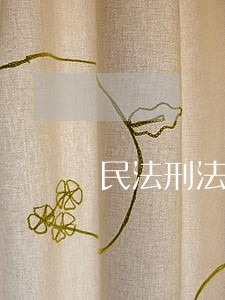 民法刑法刑事诉讼法 民法刑法刑事诉讼法