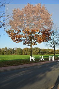 民法刑法构成要件及争议 民法刑法构成要件及争议