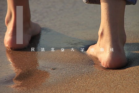 民法北京大学出版社 民法北京大学出版社
