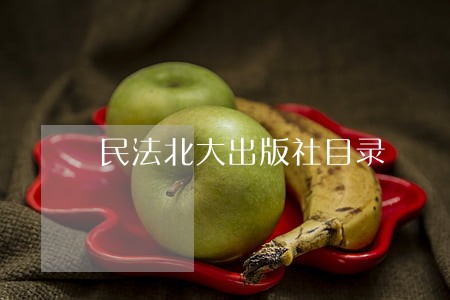 民法北大出版社目录