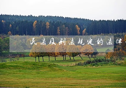 民法及刑法规定的法律年龄 民法及刑法规定的法律年龄