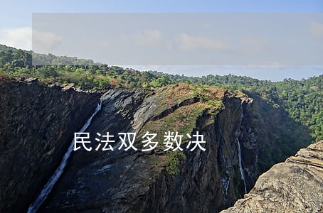 民法双多数决 民法双多数决