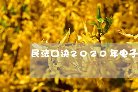 民法口诀2020年电子版 民法口诀2020年电子版