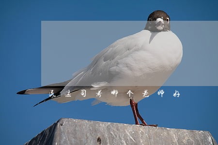 民法司考哪个老师好 民法司考哪个老师好