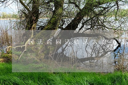 民法合同法债法太难了 民法合同法债法太难了