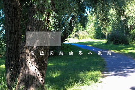 民法同则的基本原则 民法同则的基本原则
