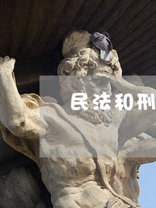 民法和刑法是法律基础 民法和刑法是法律基础