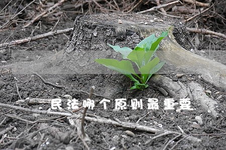 民法哪个原则最重要 民法哪个原则最重要