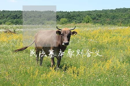 民法基本原则含义 民法基本原则含义
