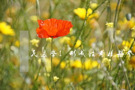 民法学1形成性考核册参考答案 民法学1形成性考核册参考答案