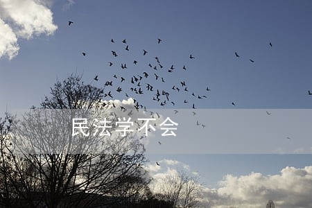 民法学不会 民法学不会