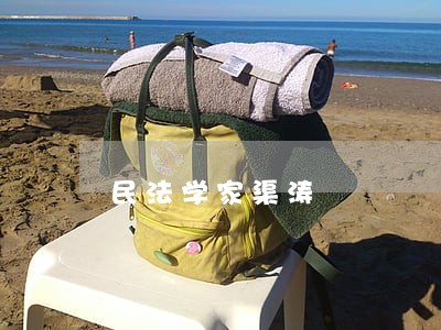 民法学家渠涛 民法学家渠涛