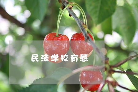 民法学校有感 民法学校有感
