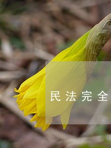 民法完全是私法吗