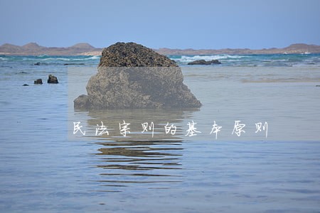 民法宗则的基本原则 民法宗则的基本原则