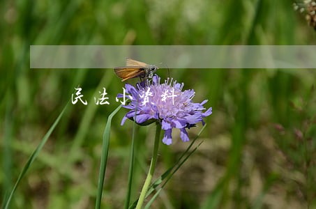 民法小资料 民法小资料