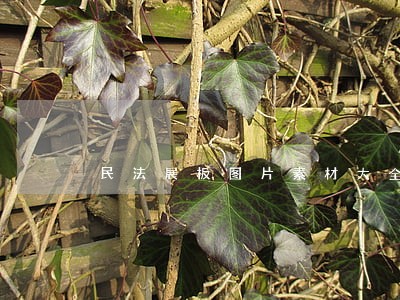 民法展板图片素材大全 民法展板图片素材大全
