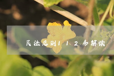 民法总则112条解读 民法总则112条解读
