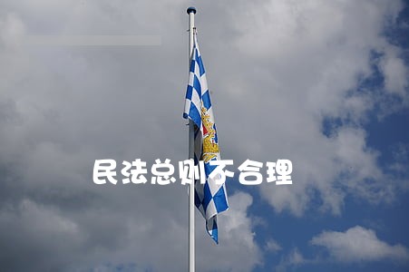 民法总则不合理 民法总则不合理