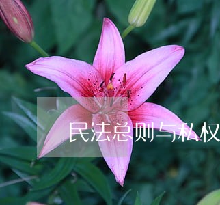 民法总则与私权保护