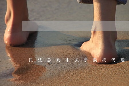 民法总则中关于委托代理规定