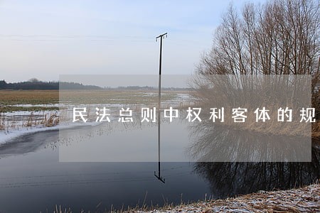 民法总则中权利客体的规定是什么 民法总则中权利客体的规定是什么