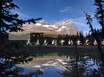 民法总则中的意思表示 民法总则中的意思表示