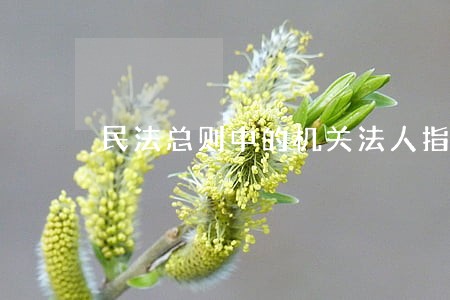 民法总则中的机关法人指的是什么 民法总则中的机关法人指的是什么