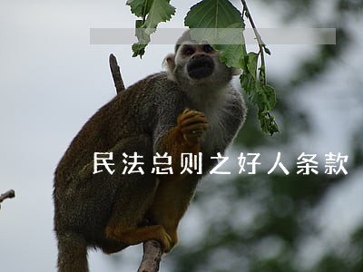 民法总则之好人条款