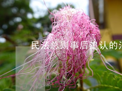 民法总则事后追认的法律规定