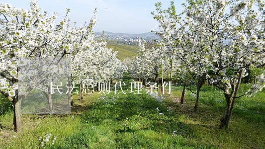 民法总则代理条件 民法总则代理条件