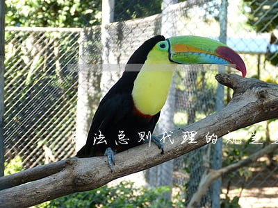 民法总则代理的规定是怎样的