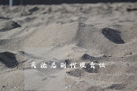 民法总则代理责任