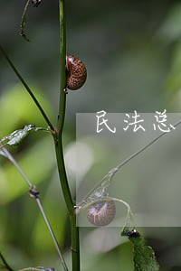 民法总则侵占的民事法律关系