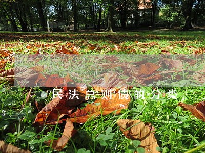 民法总则债的分类 民法总则债的分类