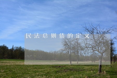 民法总则债的定义 民法总则债的定义