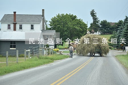 民法总则全文第三条相关规定 民法总则全文第三条相关规定
