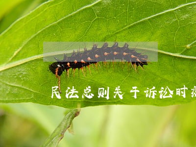 民法总则关于诉讼时效规定 民法总则关于诉讼时效规定