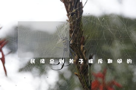 民法总则关于除斥期间的衔接