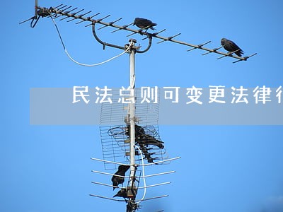 民法总则可变更法律行为 民法总则可变更法律行为
