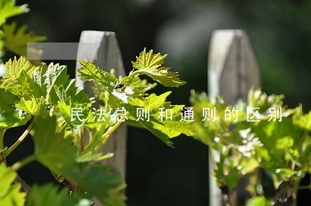 民法总则和通则的区别 民法总则和通则的区别