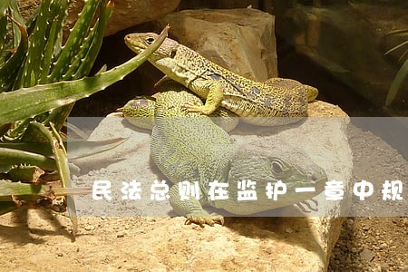 民法总则在监护一章中规定被 民法总则在监护一章中规定被