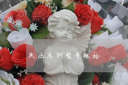 民法总则型号规格 民法总则型号规格
