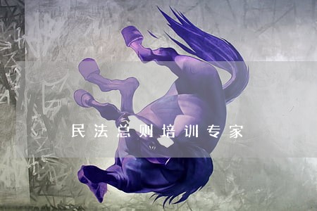 民法总则培训专家 民法总则培训专家