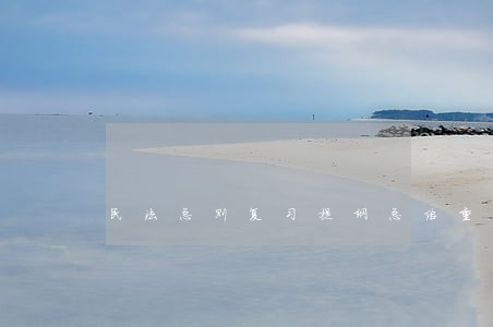 民法总则复习提纲总结重点